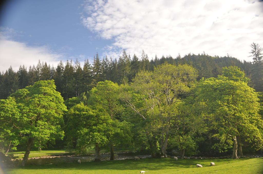 Dragon Bed And Breakfast Betws-y-Coed Eksteriør bilde