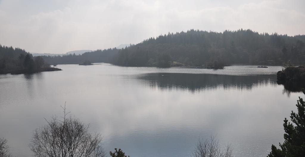 Dragon Bed And Breakfast Betws-y-Coed Eksteriør bilde